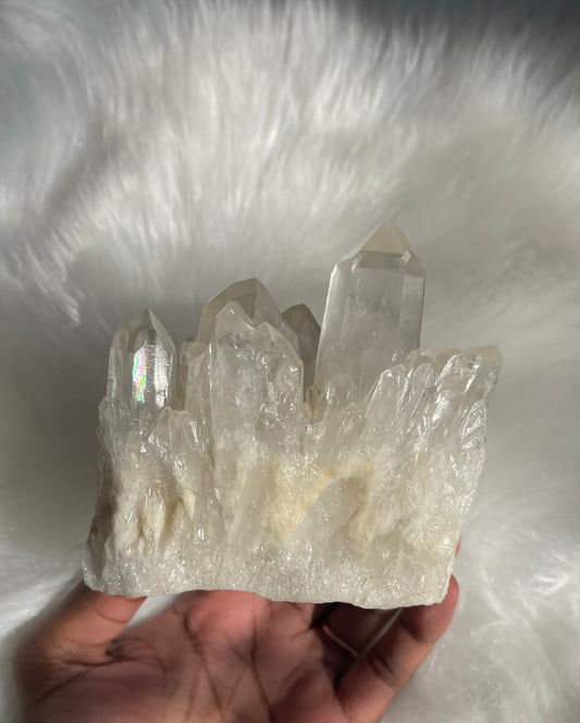 Clear Quartz cluster